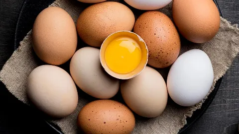 Avaliação Nutricional e Diagnóstico Precoce da Sarcopenia no Adulto e Idoso