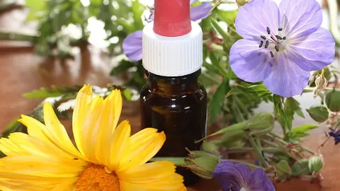 Biodisponibilidade de Polifenóis e Compostos Bioativos: Farmacologia Nutricional e Prescrição Magistral Personalizada