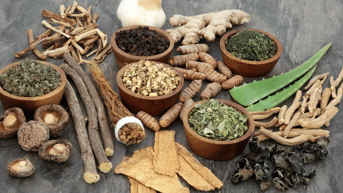 Adaptógenos na Fadiga Crônica: Cronobiologia, Protocolo Magistral e Caso Clínico