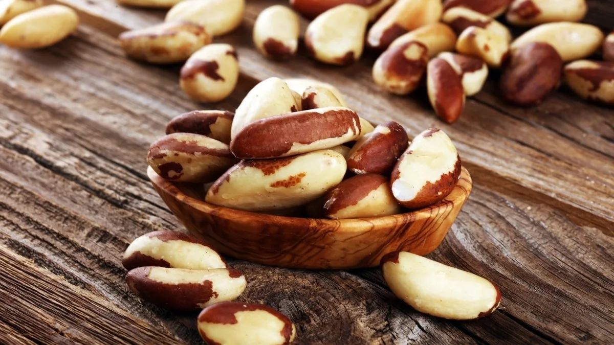 Impacto das Deficiências Nutricionais no Desempenho Cognitivo