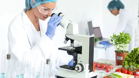 Interpretação Longitudinal de Exames Laboratoriais: O Poder da Linha do Tempo Unificada na Conduta Clínica