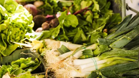 Manejo Dietoterápico da Hipertensão Arterial Resistente: Além da Redução Básica do Sal de Cozinha