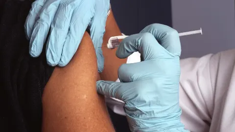 Manejo Dietoterápico da Síndrome do Intestino Irritável: O Protocolo Low-FODMAP sem Empobrecer a Microbiota