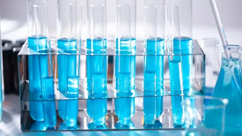Minerais Quelados e Biodisponibilidade Avançada na Prescrição Nutricional