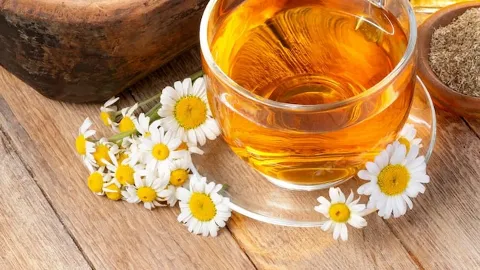 Prescrição de Fitoterápicos no Controle do Estresse e Melhora do Sono