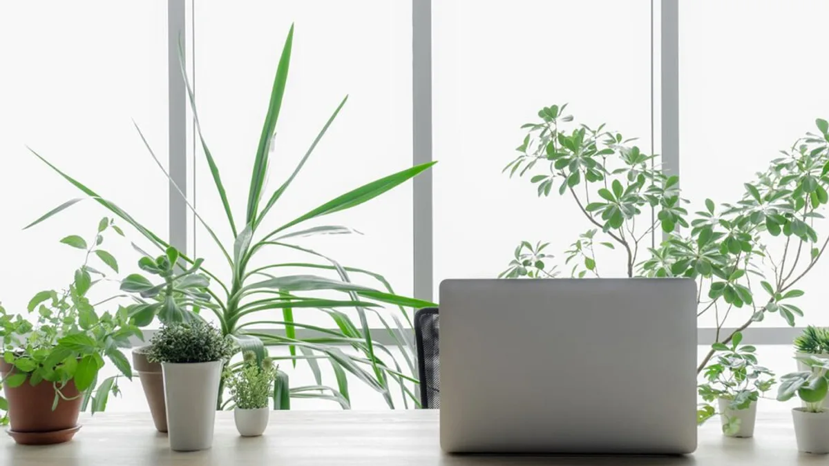Software de Nutrição Grátis versus Pago: Análise Comparativa de Custos, Recursos e Produtividade Clínica
