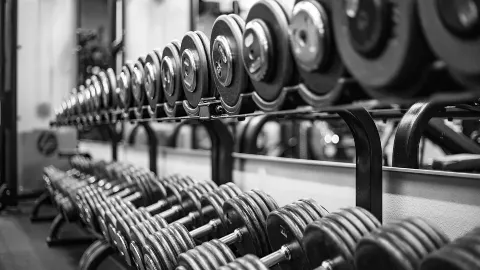 Suplementação de Creatina e Morfologia Muscular: Mecanismos Celulares de Hipertrofia e Prescrição Clínica