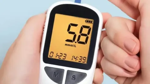 Terapia Nutricional no Diabetes Mellitus Tipo 1: Contagem de Carboidratos e Fator de Sensibilidade