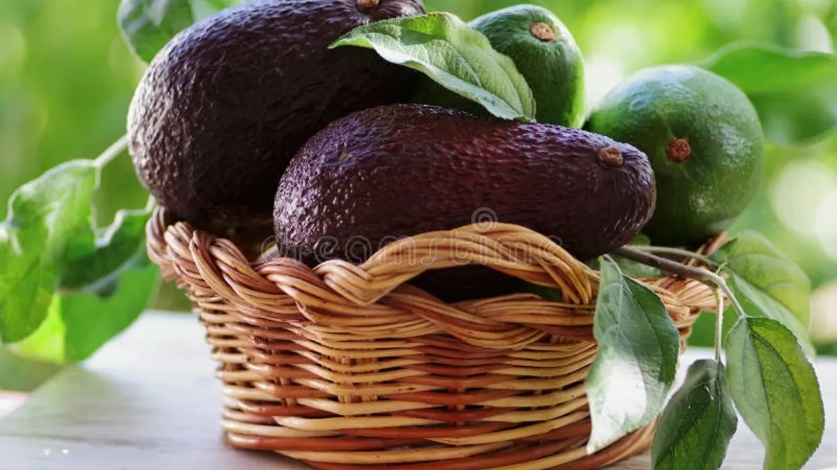 Terapia Nutricional nas Doenças Autoimunes e Protocolo Autoimune AIP: Barreira Intestinal e Inflamação