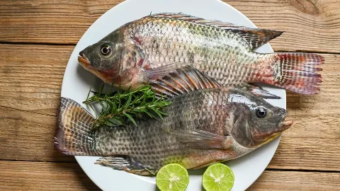 Terapia Nutricional na Hipertensão Arterial Sistêmica e Dieta DASH