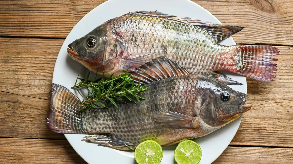 Terapia Nutricional na Hipertensão Arterial Sistêmica e Dieta DASH