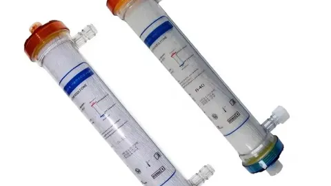 Terapia Nutricional na Nefropatia Diabética e Diálise: Restrição Proteica vs Manutenção da Massa Magra
